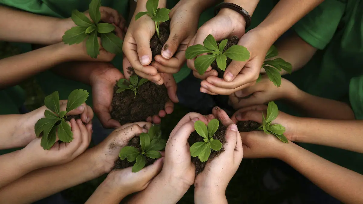 Educación ambiental